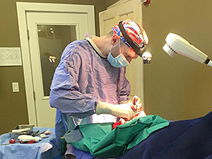 tahoe pet surgery